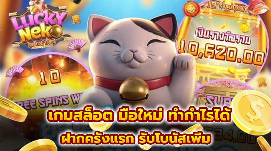เกมสล็อต มือใหม่ ทำกำไรได้
